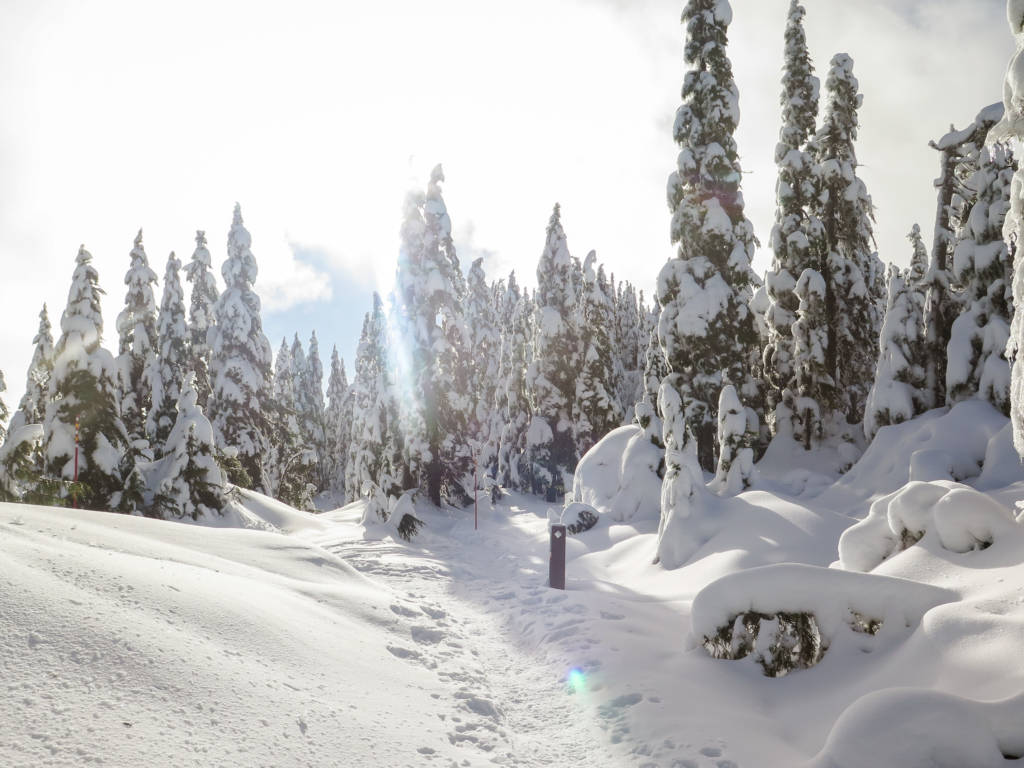 Manning park clearance snowshoe trails