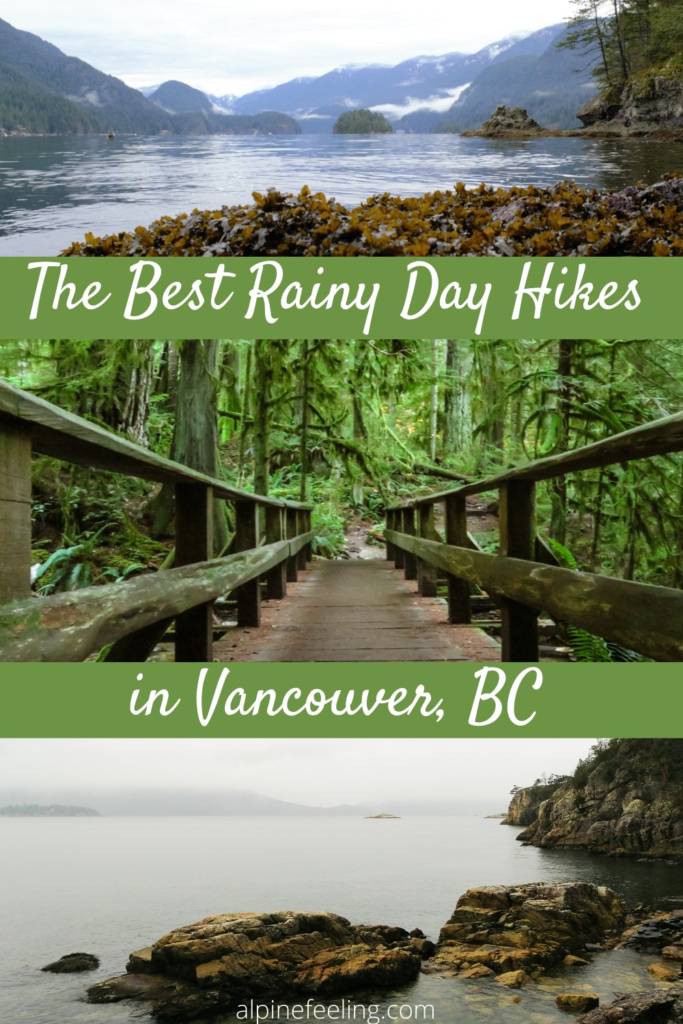 12 Best Rainy Day Hikes near Vancouver