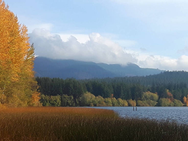 14 of the Best Hikes Near Bellingham WA